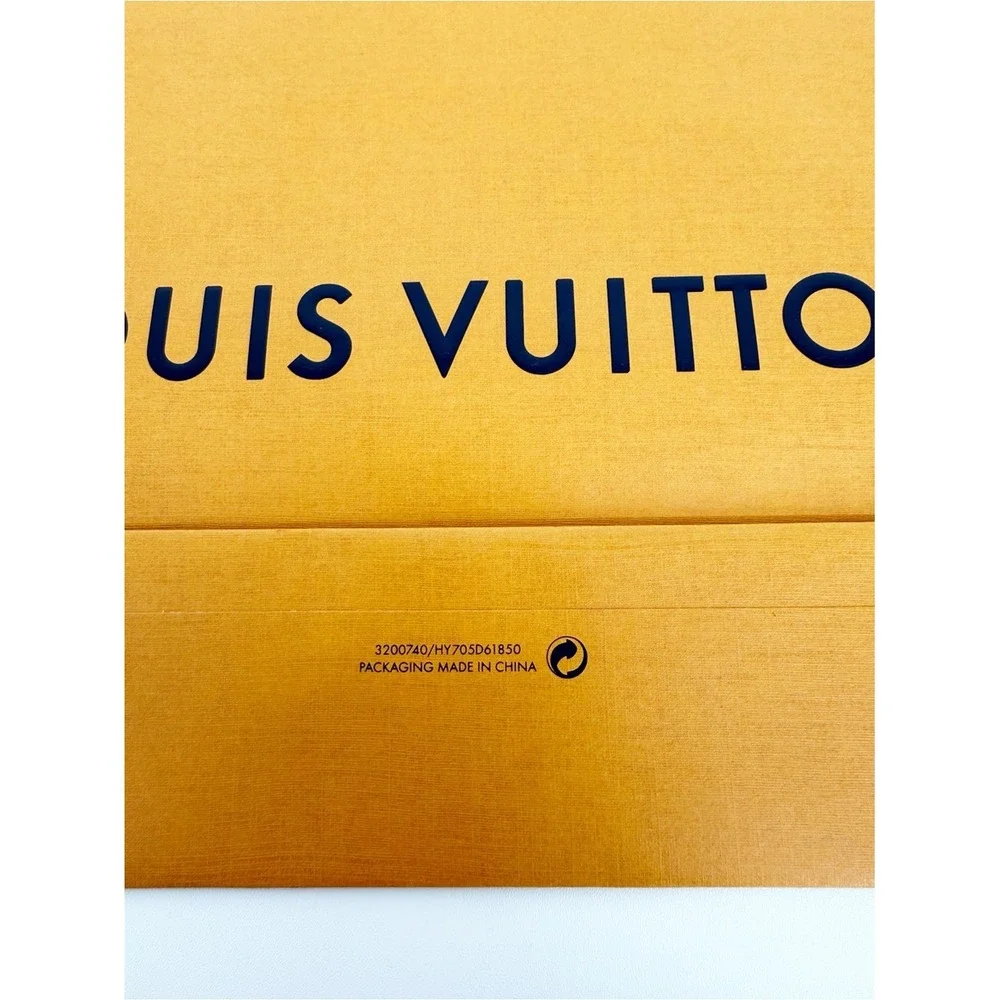Louis Vuitton Accessory Shopping Bag